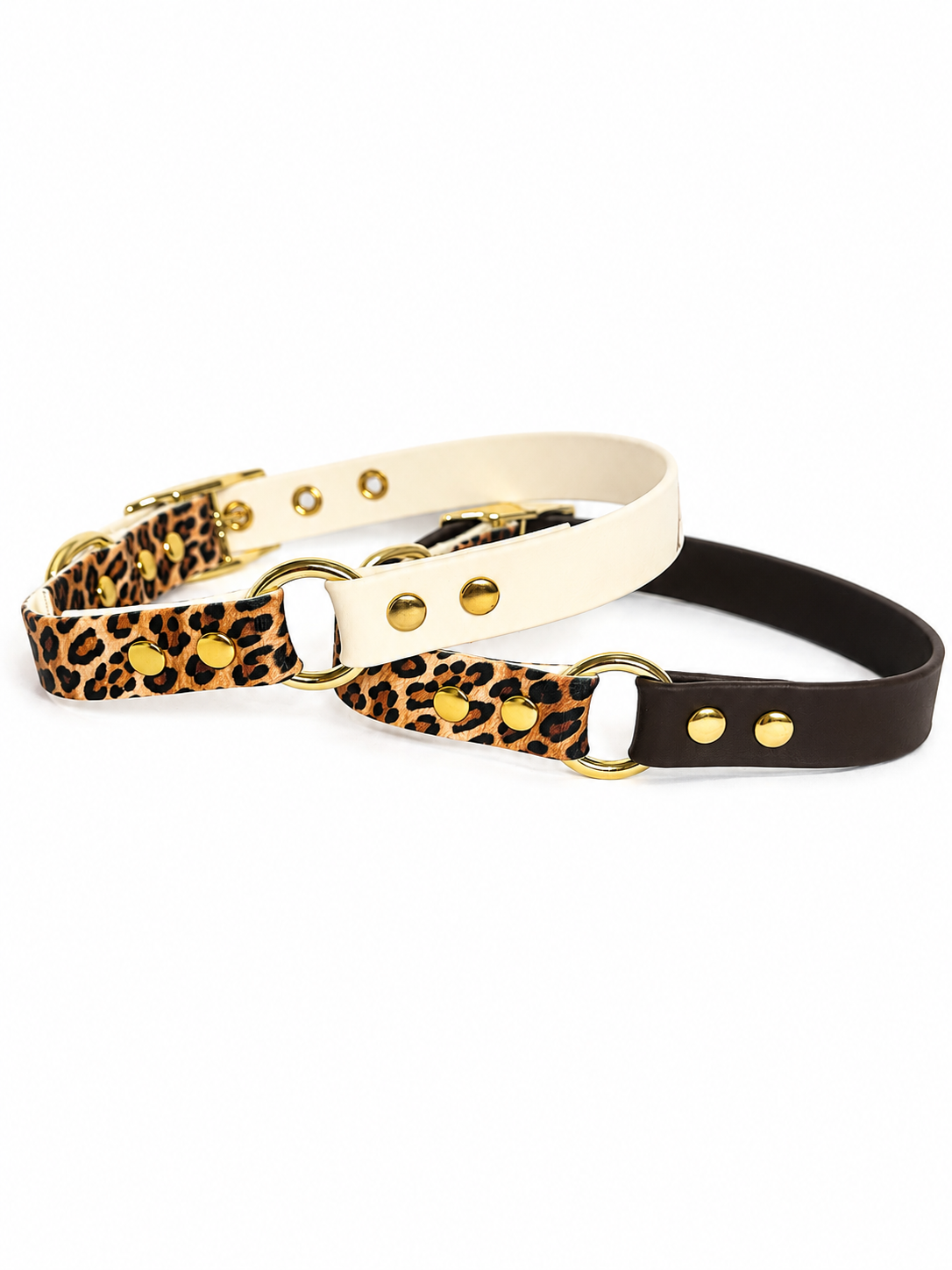 Collier Biothane personnalisé — Collection Fauve🐆