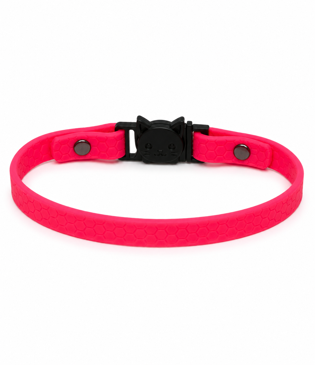 Collier chat anti-étranglement personnalisé 🐈‍⬛