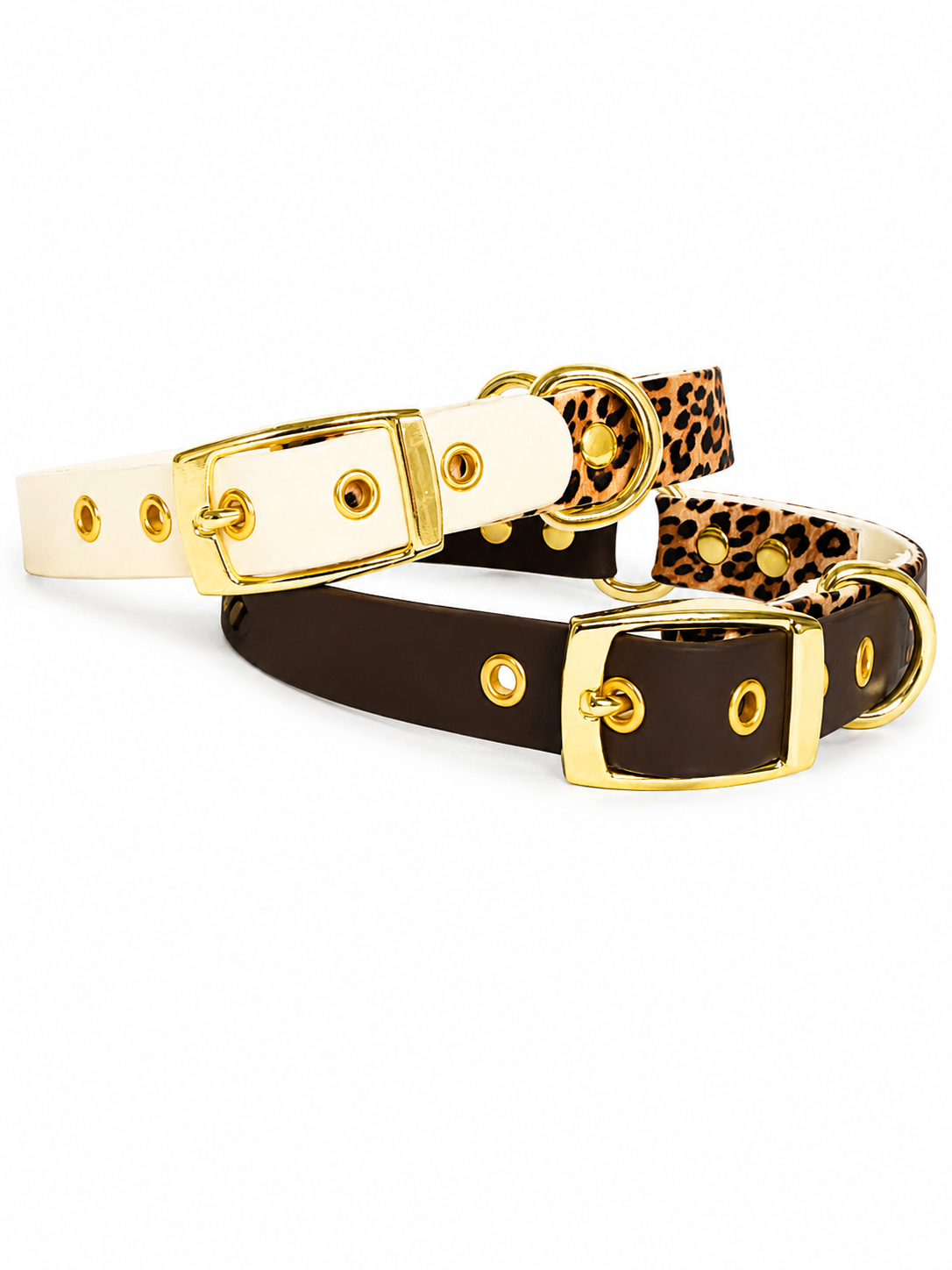 Collier Biothane personnalisé — Collection Fauve🐆